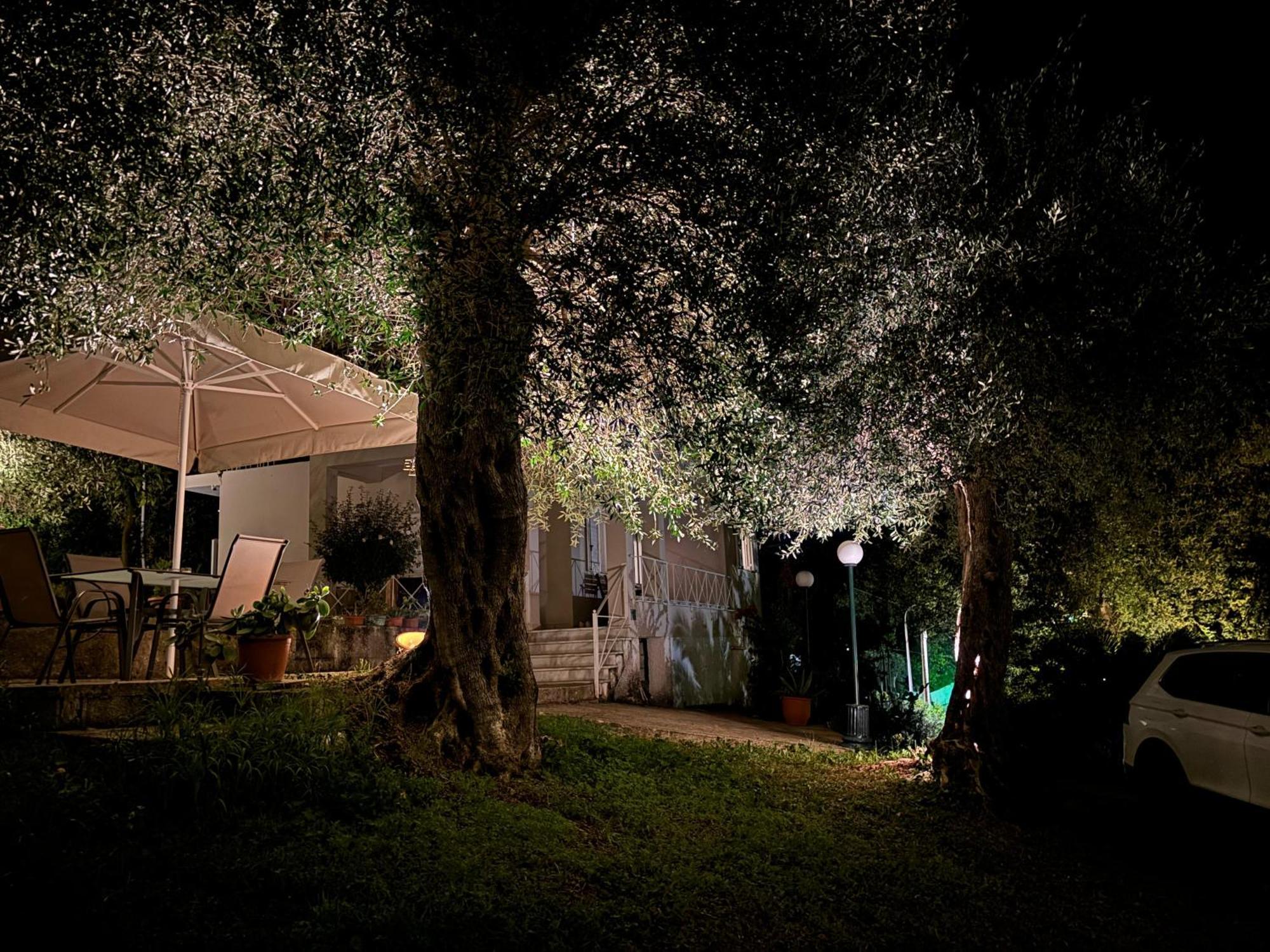 Villa Casa Sofia Dassia  Exterior foto